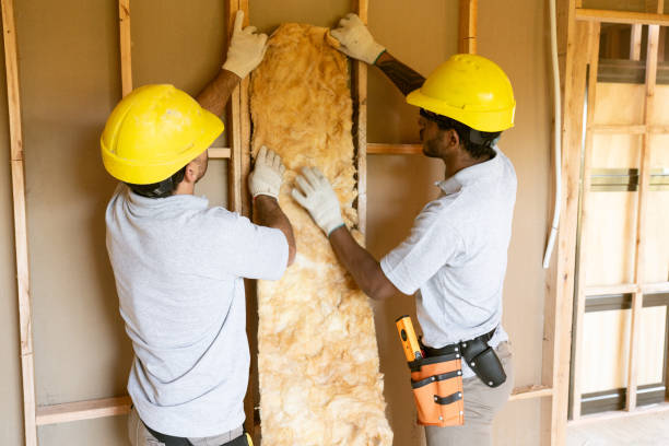 Best Insulation Replacement Services  in Colorado City, AZ